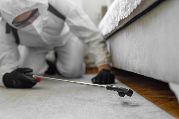 Professional Termite Control technician working in Sachse, TX